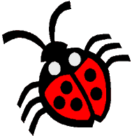 ladybug